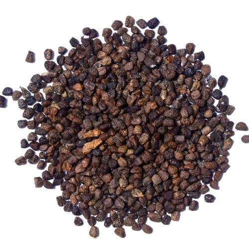 product-image.jpg